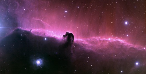 horsehead