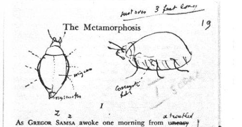 metamorfose32