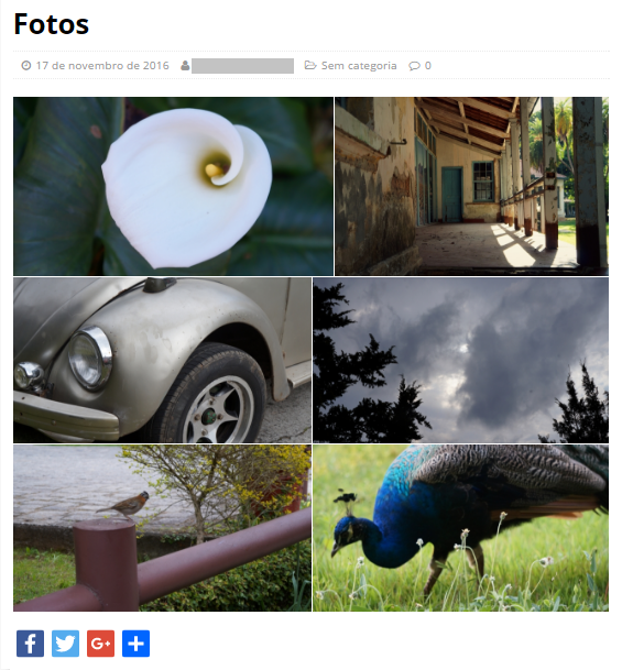 Como criar uma galeria de imagens com Envira Gallery