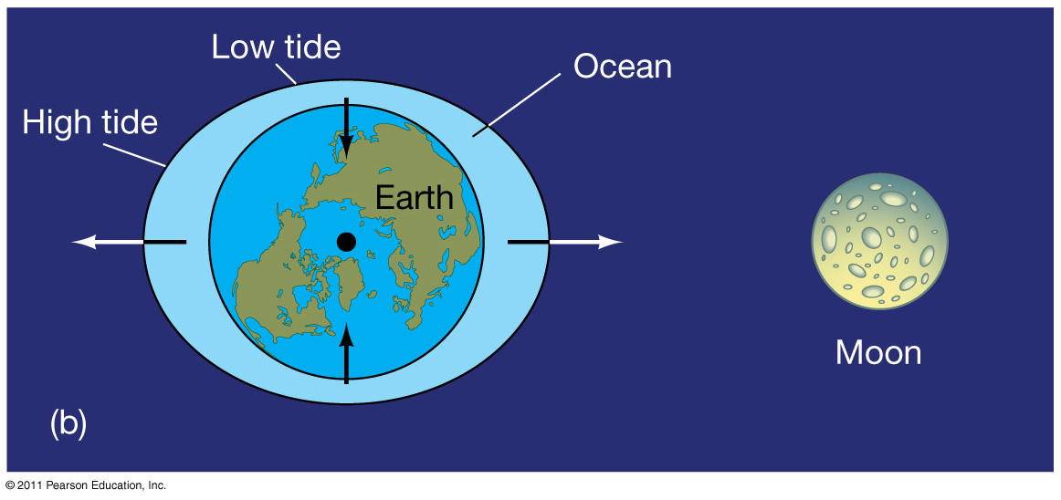 tidal forces CienciaAoNatural