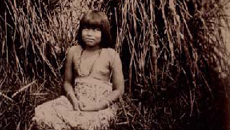 Primeira infecção pelo HTLV entre indígenas brasileiros aconteceu em 1990 - Foto: Wikimedia Commons 