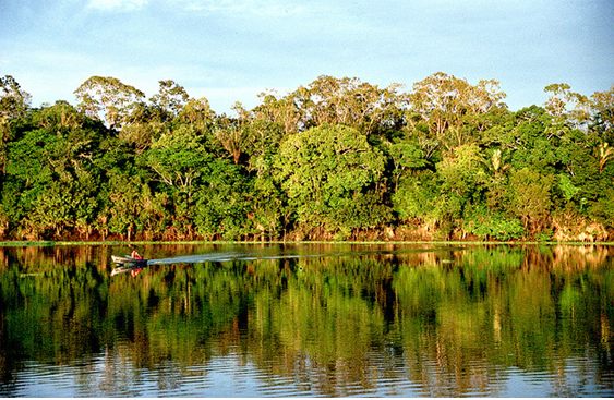 Floresta Amazônica – Imagem: Ministério do Meio Ambiente