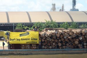 Ato realizado em 2014 contra retirada ilegal de madeira da Amazônia. Crédito: Mídia Ninja