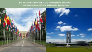 A imagem possui o título : Do palco internacional ao Congresso nacional: o desafio da política ambiental brasileira. Abaixo do título duas fotos. A primeira é a sede da Orgnização das Nações Unidas com bandeiras enfileiradas. A segunda o Congresso Nacional em Brasília com o céu azul acima.
