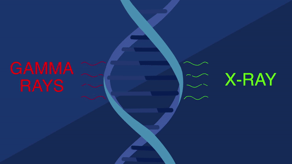 Quando o DNA sofre danos, o metilfolato é um dos responsáveis pelos "reparos".