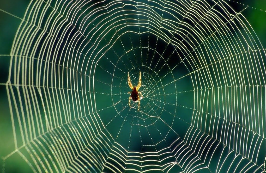 O Homem-Aranha pode mesmo parar um trem? A ciência explica