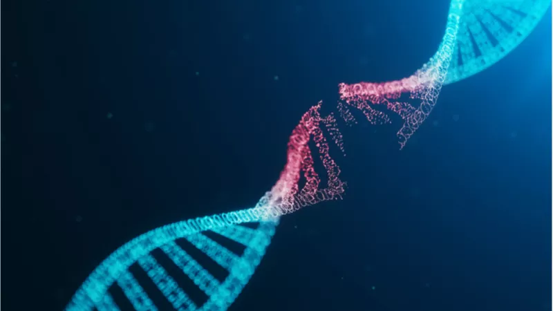 Quebra de fita dupla (DSB) do DNA por raios gama. Créditos: https://www.lifespan.io/news/dna-damage-leads-to-epigenetic-alterations/