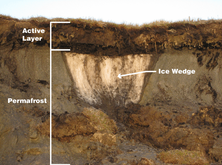 Permafrost é a parte congelada do solo e a camada ativa (active layer) é a camada que congela no inverno e degela no verão. No Minecraft não têm essa camada congelada.