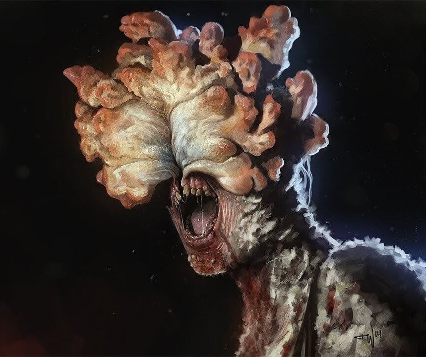 Fungo “zumbi” Cordyceps de The Last of Us pode infectar humanos