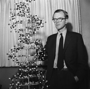 Maurice Wilkins