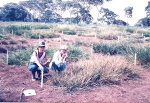 Como consultora na Colombia em 1988