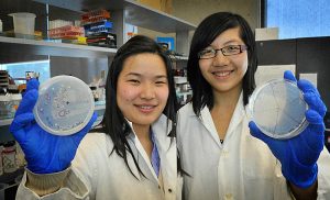 Miranda Wang e Jeanny Yao segurando placas de cultura de bacterias, do seu Projeto que recebeu premiação. Por IAN LINDSAY / PNG