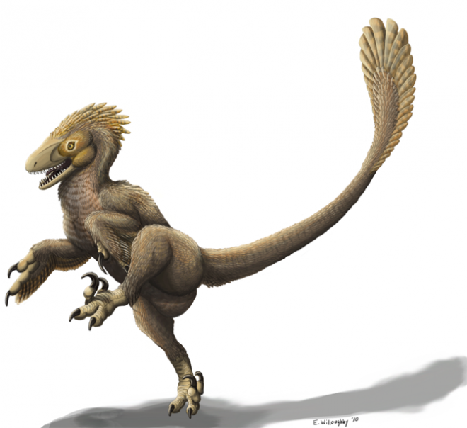 Animal de esqueleto de dinossauro Tirirossauro dinossauro Velociraptor, t  rex, Tiranossauro, terrestre Animal, animal png