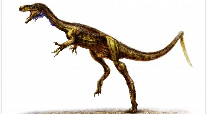 >Eodromaeus, um novo dino basal da Argentina e Eoraptor, um Sauropodomorpha