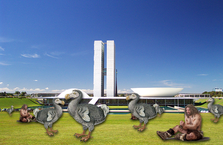 brasilia