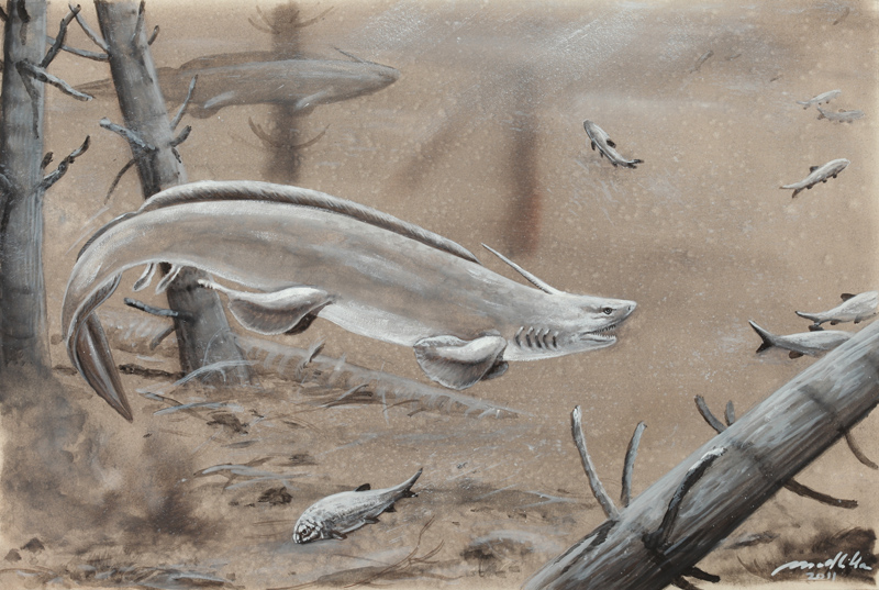 Xenacanthus, arte de Petr Modlitba (http://petrmodlitba.cz/)