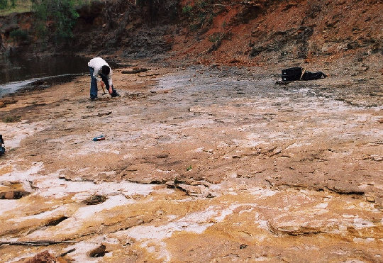 Afloramento do Sitio Santa Maria, Rio Claro, Estado de São Paulo, onde foram coletados a maior parte dos principais fósseis de tubarões estudados por Artur