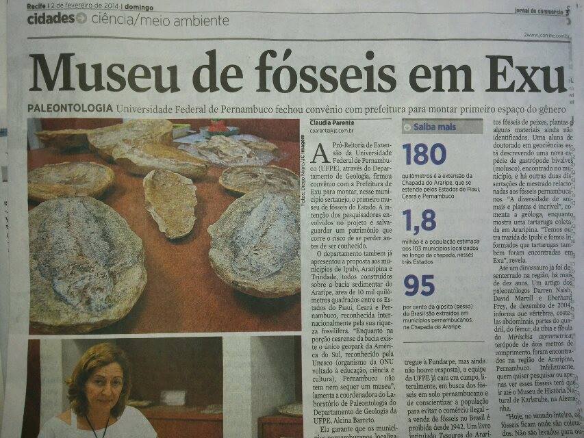 reportagem