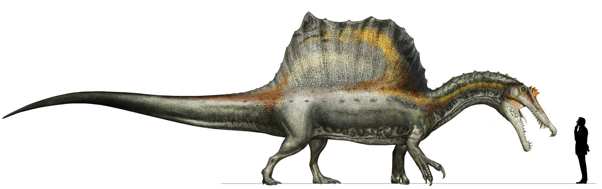 Novo dinossauro descoberto tem armadura de espinhos nunca antes vista -  TecMundo