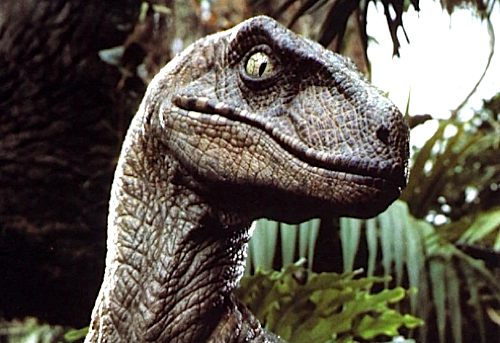 Mesmo que muitos digam saber que se tratam de 'monstros', ainda os chamam de dinossauros: T. rex, Velociraptor, Dilophosaurus, etc.