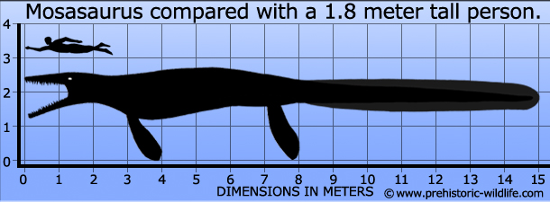 mosasaurus-size