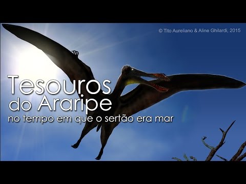 Tesouros do Araripe II: no tempo em que o sertão era "mar"