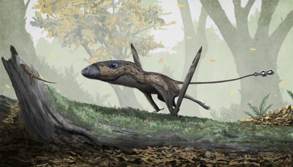 Dimorphodon, por Mark Witton