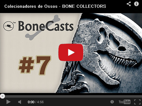 Kit Embed Colecionadores#7