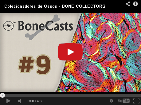 Kit Embed Colecionadores#9