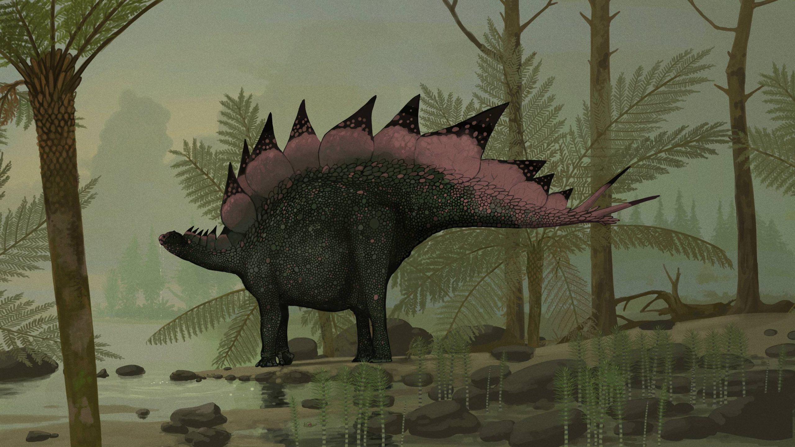 Stegosaurus, por John Conway