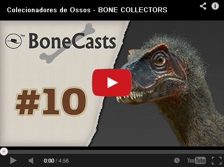 Kit Embed Colecionadores#10