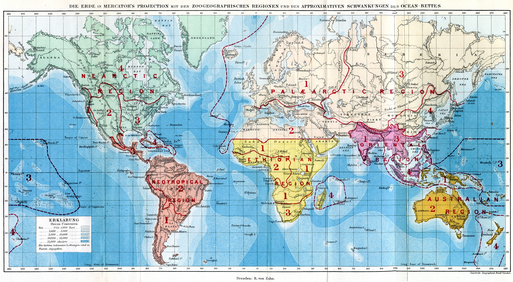 Biogeografia: um mundo de mudanças | Colecionadores de Ossos