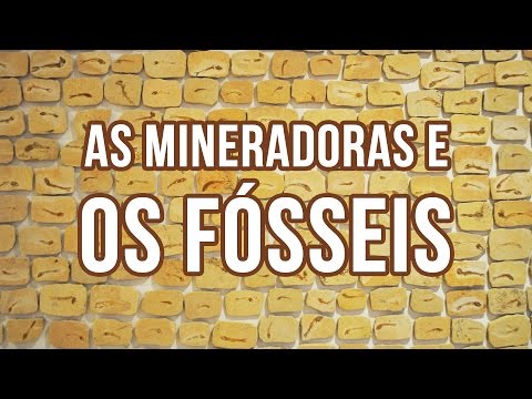 Fósseis e mineradoras