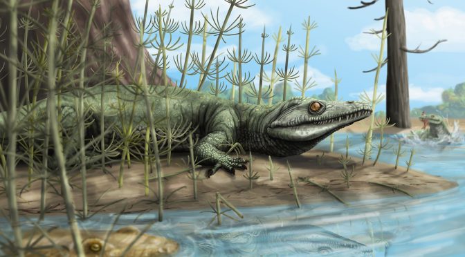 Conheça Teyujagua, uma nova (e estranha!) espécie fóssil da região Sul do Brasil