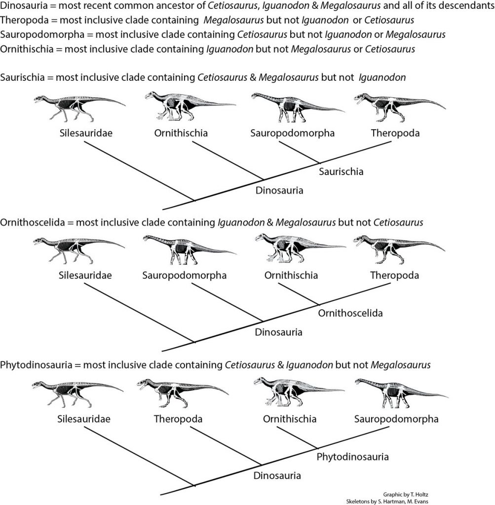 As grandes propostas alternativas sobre a evolução de Dinosauria.