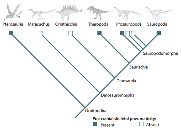 Quebra-cabeças de Dinossauros Online em COQUINHOS