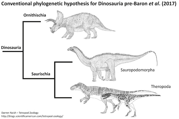 Cladograma de acordo com a filogenia clássica dos dinossauros. Imagem por Darren Naish.