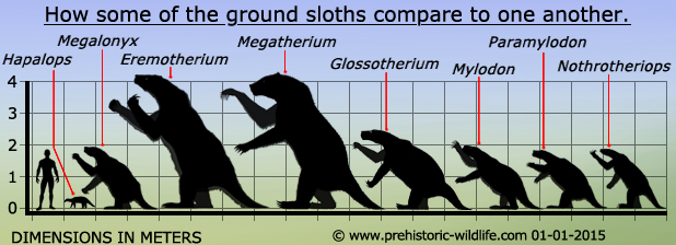 ground-sloth-size-comparison
