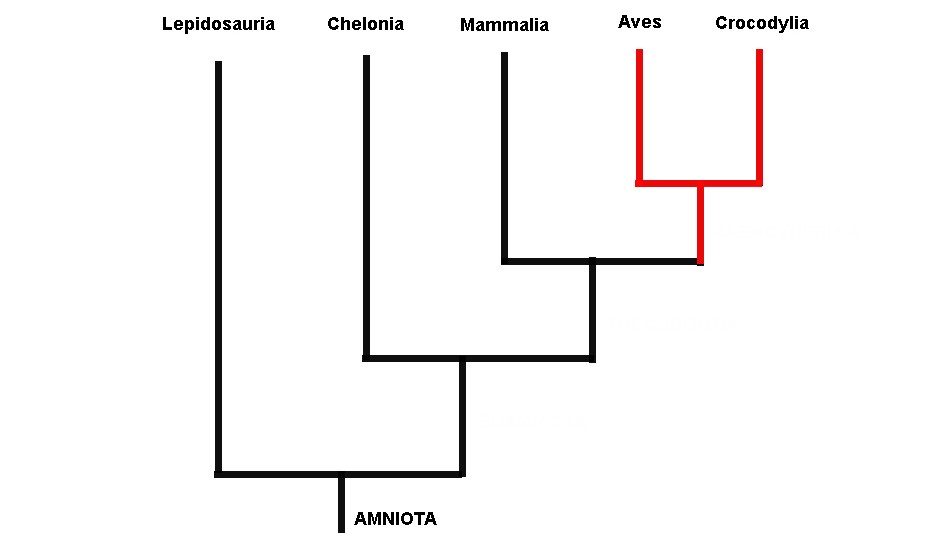 Esta imagem possuí um atributo alt vazio; O nome do arquivo é Fig.-2.-Arvore-Gatuhier-recent.jpg