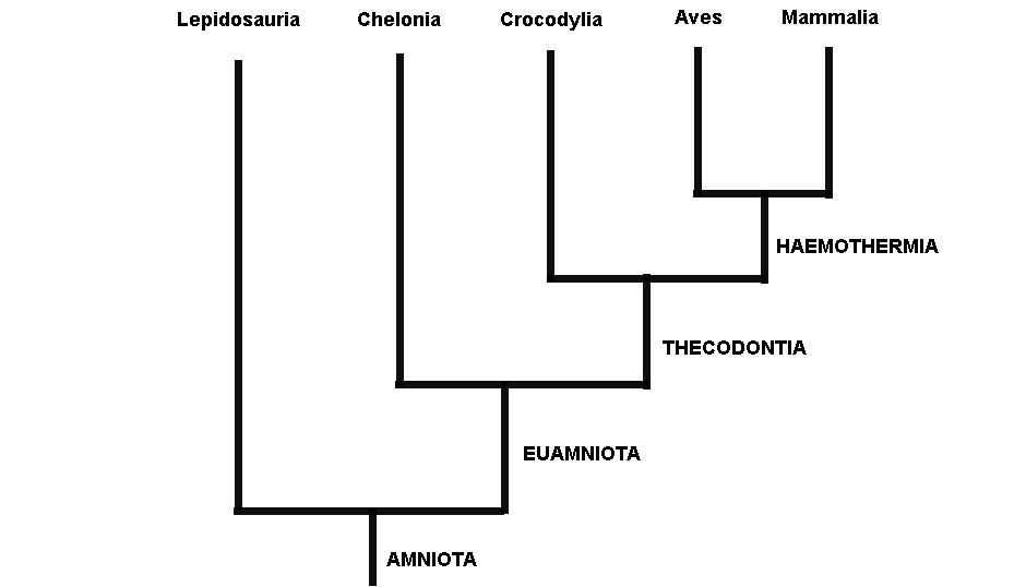 Esta imagem possuí um atributo alt vazio; O nome do arquivo é Fig.1.-Árvore-Gardiner-recent.jpg