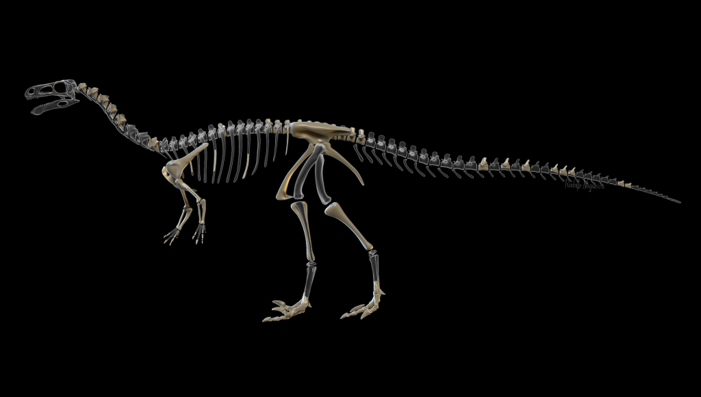 Tiranossauro rex osso de dinossauro esqueleto pé, garra, diversos, imagem  Formatos de arquivo png