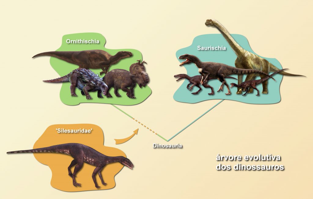 Ornithomimus Dinossauro Bípede Período Cretáceo Era Mesozóica