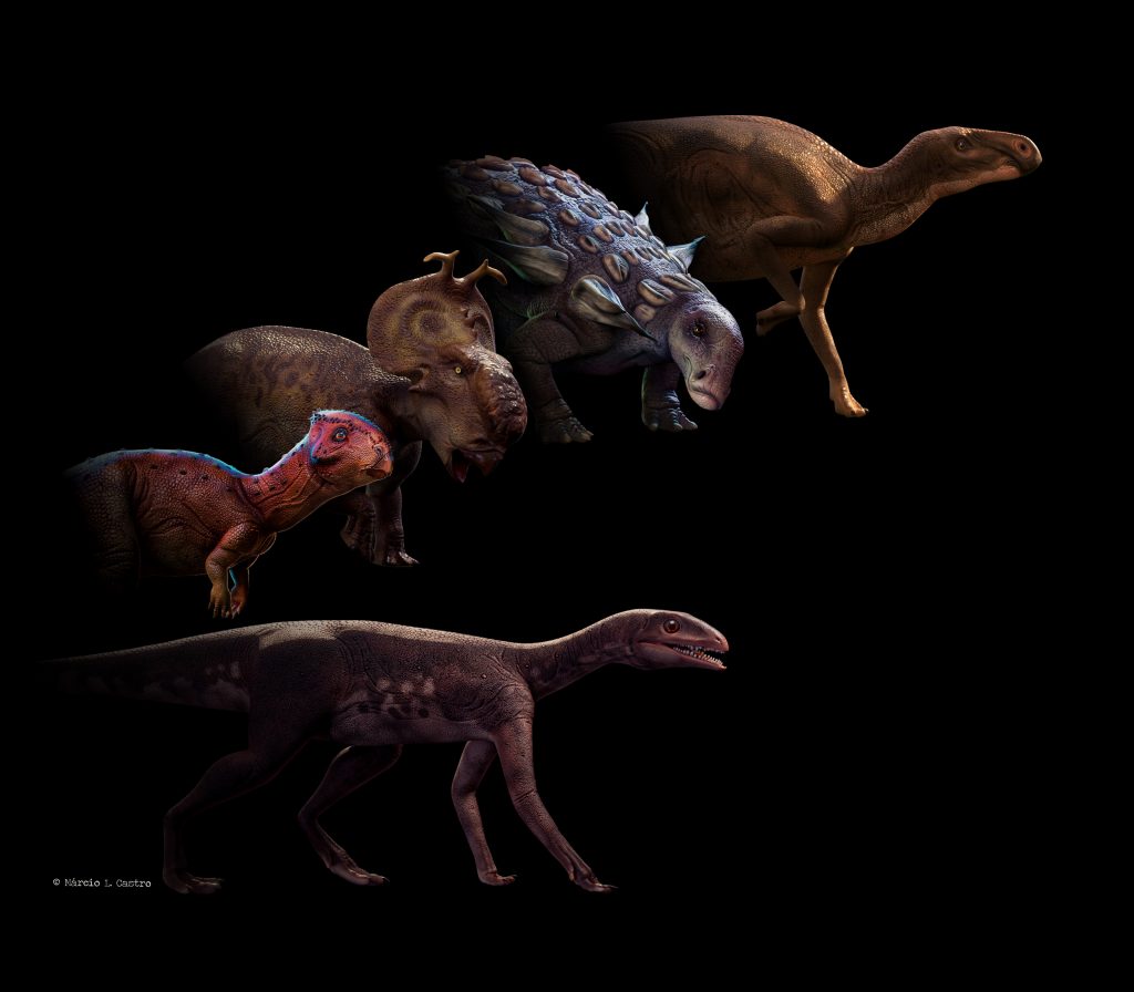 Desenho de Estiracossauro. dinossauro do período Cretáceo para