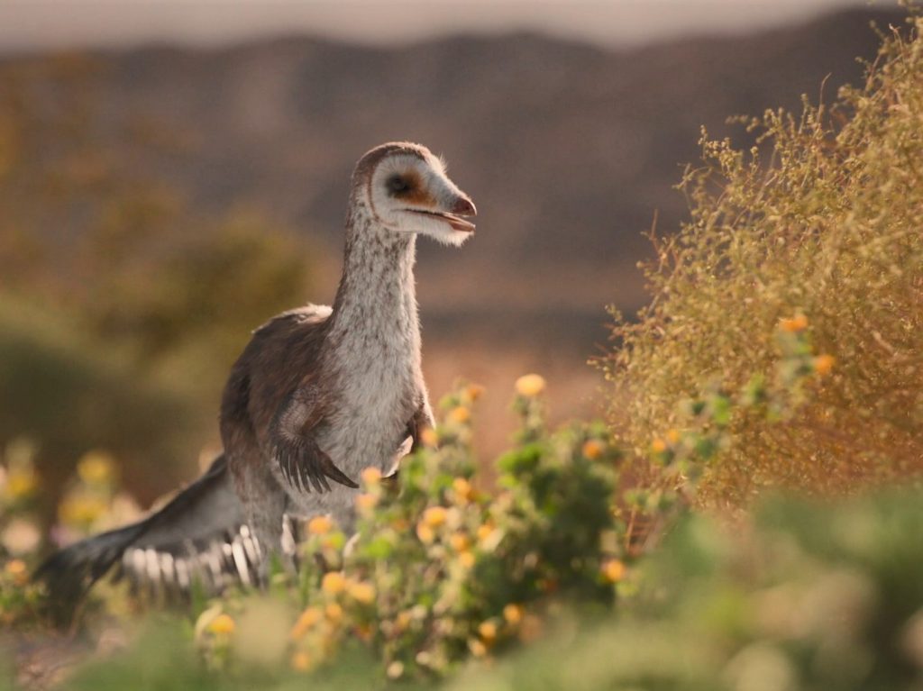 Troodon Dinossauro Mesozóico Cretáceo Desenho Realista Imagem