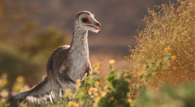 Como desenhar um dinossauro FACIL passo a passo para crianças e iniciantes  2 