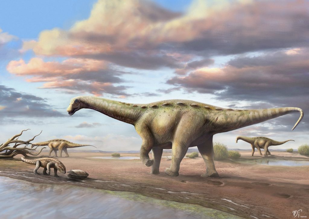 Procurando dinossauros pela Internet – Blog do Sistema de