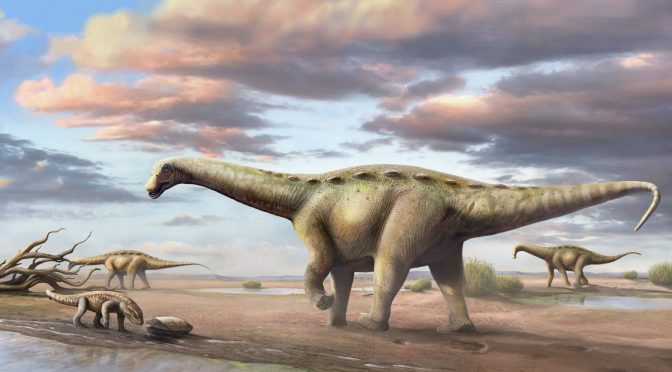 Um dinossauro pescoçudo nanico é o mais novo dinossauro brasileiro