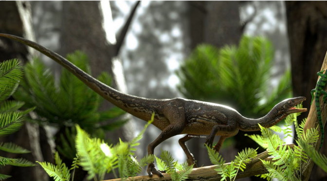 Stegosaurus Dinossauro Herbívoro Período Jurássico Era Mesozóica