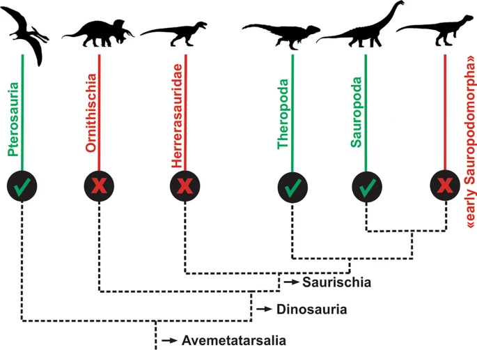 Paleontologia Geral  Colecionadores de Ossos