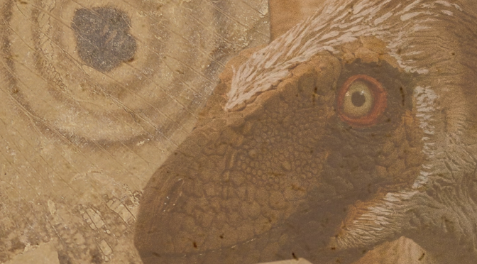O que os olhos nas asas de um inseto fóssil podem nos dizer?